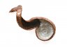 Merino-Feather.jpg - Copper, Feathers, Barramundi scales, Epoxy Resin; 41(W) x 29(H) x 15(D) cm